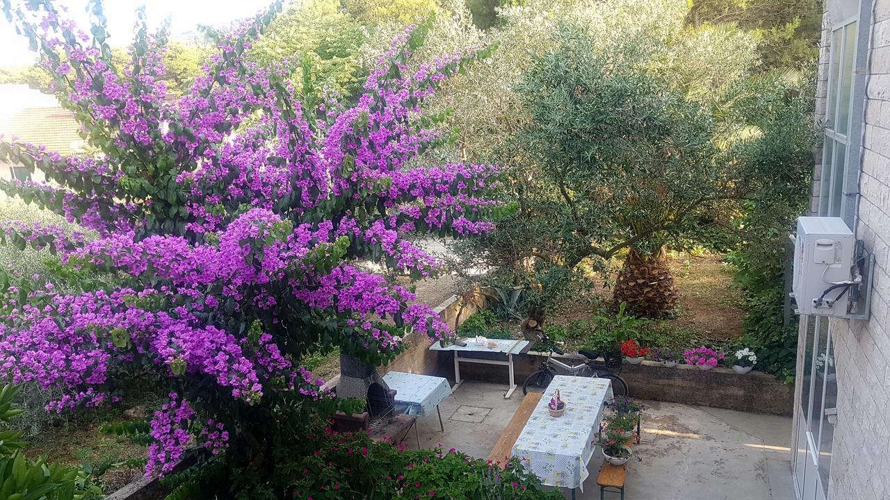 Apartments 1000 Flowers Старий Град Екстер'єр фото